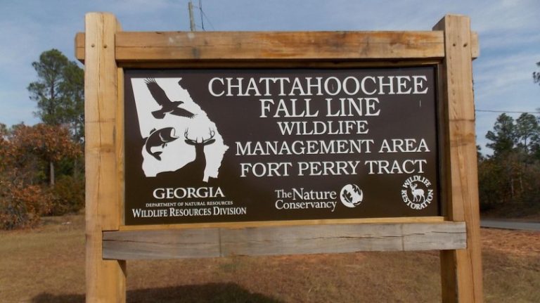 What Happened to Georgia’s WMA Permit?