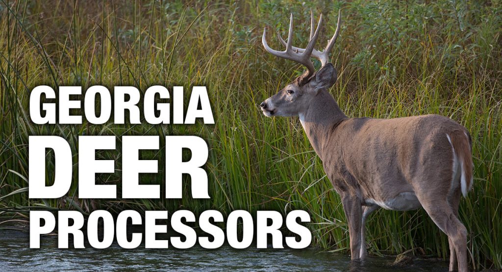 Find a Deer Processor [2022]
