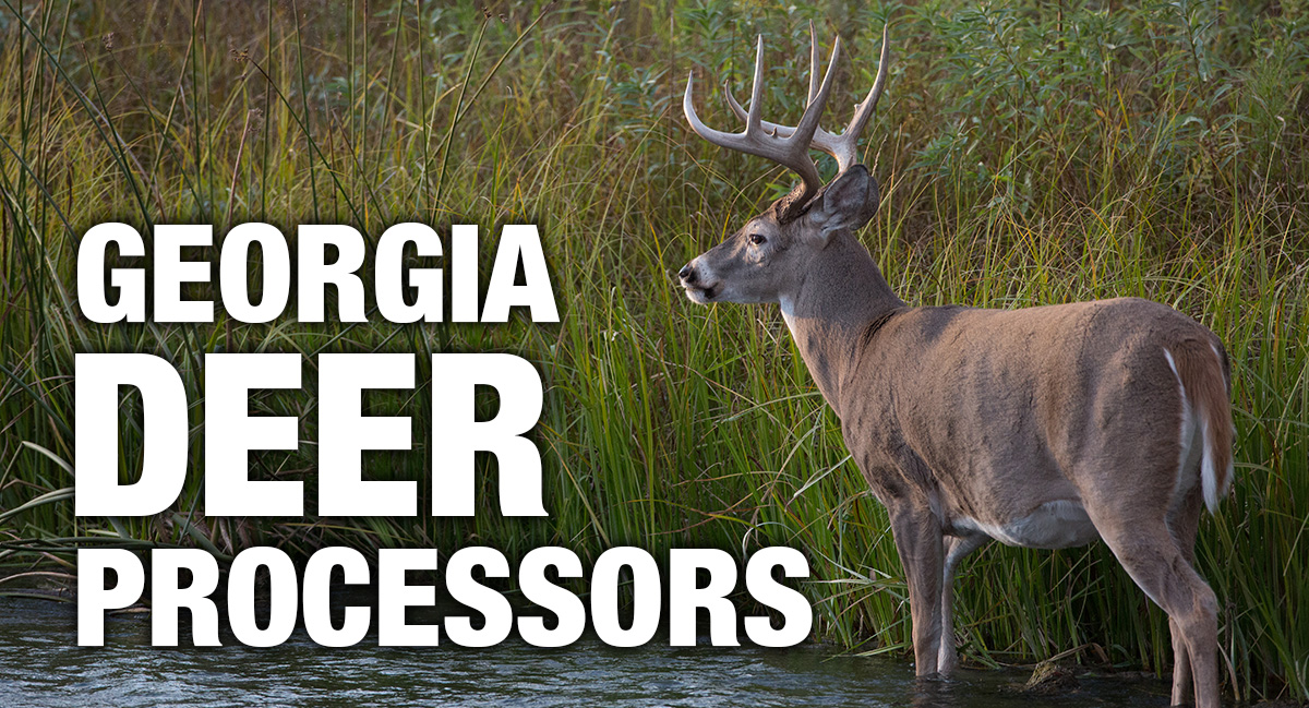 Find a Deer Processor [2022]