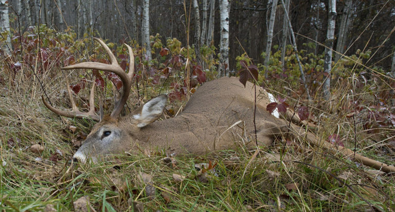 2022-2023 Louisiana Deer Season Dates