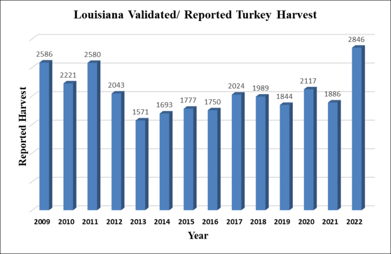 Louisiana Turkey Hunters Harvest Most Turkeys in 13 Years