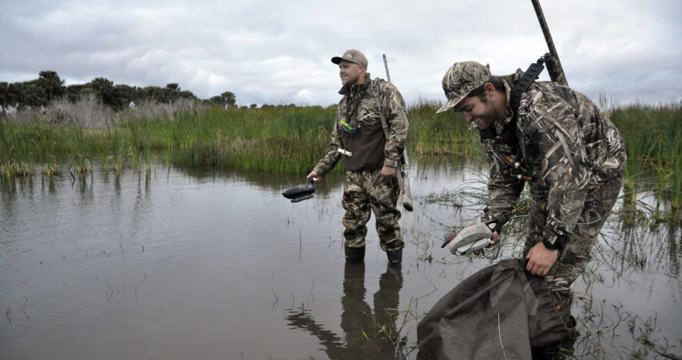 Tennessee Duck Season Dates & Info [2022-2023]